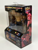 Fei Long Street Fighter II 6 Inch Figure Jada 253252027 34217