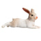 Rabbit Lying Wildlife Toy Figure 6 cm Length Approx Mojo Fun 387142