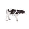 Holstein Calf Standing Farm Animal 5 cm Height Approx Mojo Fun 387061