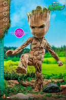 Groot Collectible Figure Deluxe Version I Am Groot Hot Toys 9119432