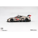a silver race car with black and red stripes