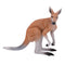 Kangaroo Wildlife Toy Figure 10 cm Height Approx Mojo Fun 381010