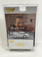 James Bond 007 Goldfinger Aston Martin DB5 Japanese Version 1:64 Mini GT MGT00900-007J