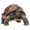 Giant Tortoise Pet Toy Figure 7 cm Length Approx Mojo Fun 387259