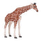 Giraffe Female Wildlife Toy Figure 12.5 cm Height Approx Mojo Fun 381033