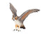 Green Horned Owl Bird Toy Figure 9 cm Length Approx Mojo Fun 387284