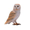 Barn Owl Wildlife Toy Figure 6 cm Height Approx Mojo Fun 381054