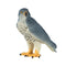 Pedegrine Falcon Wildlife Toy Figure 7 cm Height Approx Mojo Fun 381056