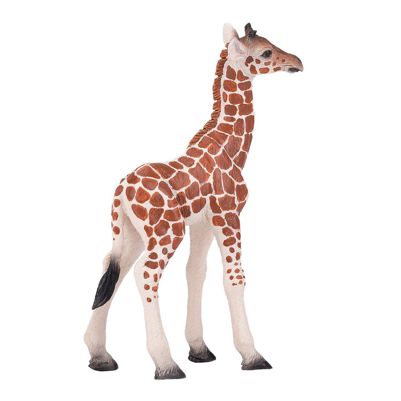 Giraffe Calf Wildlife Toy Figure 10 cm Height Approx Mojo Fun 381034