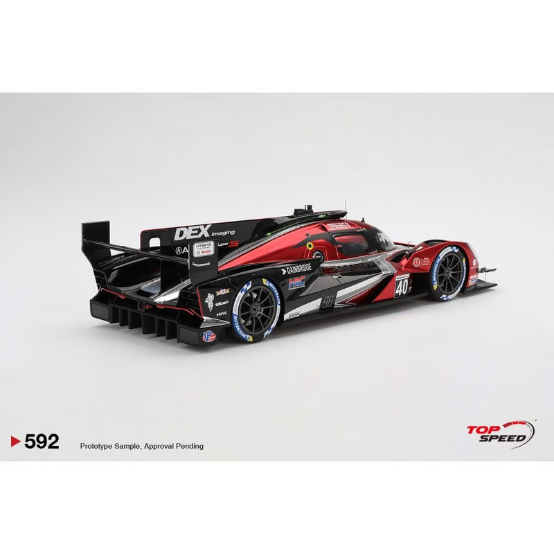 Acura ARX-06 GTP No.40 2024 IMSA Sebring 12 Hrs Winner 1:18 Scale Topspeed TS0592