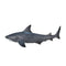 Bull Shark Wildlife Toy Figure 15 cm Length Approx Mojo Fun 387270