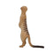 Meerkat Wildlife Toy Figure 6 cm Height Approx Mojo Fun 387125