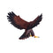 Golden Eagle Bird Toy Figure 15 cm Length Approx Mojo Fun 381051