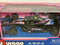 Pierre Gasly #10 Alpine F1 A524 1:43 Scale Bburago 38219G