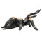 Red Kneed Tarantula Reptile Toy Figure 7 cm Length Approx Mojo Fun 387213