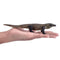 Komodo Dragon Prehistoric Toy Figure 19.5 cm Length Approx Mojo Fun 381011