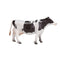 Holstein Cow Farm Toy Figure 7 cm Height Approx Mojo Fun 387062