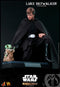 Luke Skywalker Star Wars Collectible Figure 1:6 Scale Hot Toys 909047