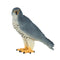 Pedegrine Falcon Wildlife Toy Figure 7 cm Height Approx Mojo Fun 381056