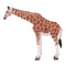 Giraffe Female Wildlife Toy Figure 12.5 cm Height Approx Mojo Fun 381033