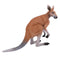 Kangaroo Wildlife Toy Figure 10 cm Height Approx Mojo Fun 381010