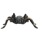 Red Kneed Tarantula Reptile Toy Figure 7 cm Length Approx Mojo Fun 387213