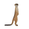 Meerkat Wildlife Toy Figure 6 cm Height Approx Mojo Fun 387125
