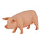 Pig Sow Farm Animal Toy Figure 10 cm Length Approx Mojo Fun 387054