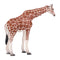 Giraffe Female Wildlife Toy Figure 12.5 cm Height Approx Mojo Fun 381033