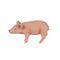 Piglet Farm Animal Toy Figure 5 cm Length Approx Mojo Fun 387055