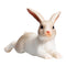 Rabbit Lying Wildlife Toy Figure 6 cm Length Approx Mojo Fun 387142