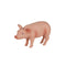 Piglet Farm Animal Toy Figure 5 cm Length Approx Mojo Fun 387055