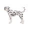 Dalmatian Pet Dog Toy Figure 7 cm Height Approx Mojo Fun 387248
