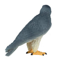 Pedegrine Falcon Wildlife Toy Figure 7 cm Height Approx Mojo Fun 381056