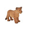 Lion Cub Standing Wildlife Toy Figure 4.5 cm Height Approx Mojo Fun 387011