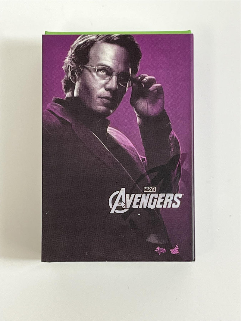 Hot Toys Bruce Banner Avengers 1:6 Scale Box Art Magnet